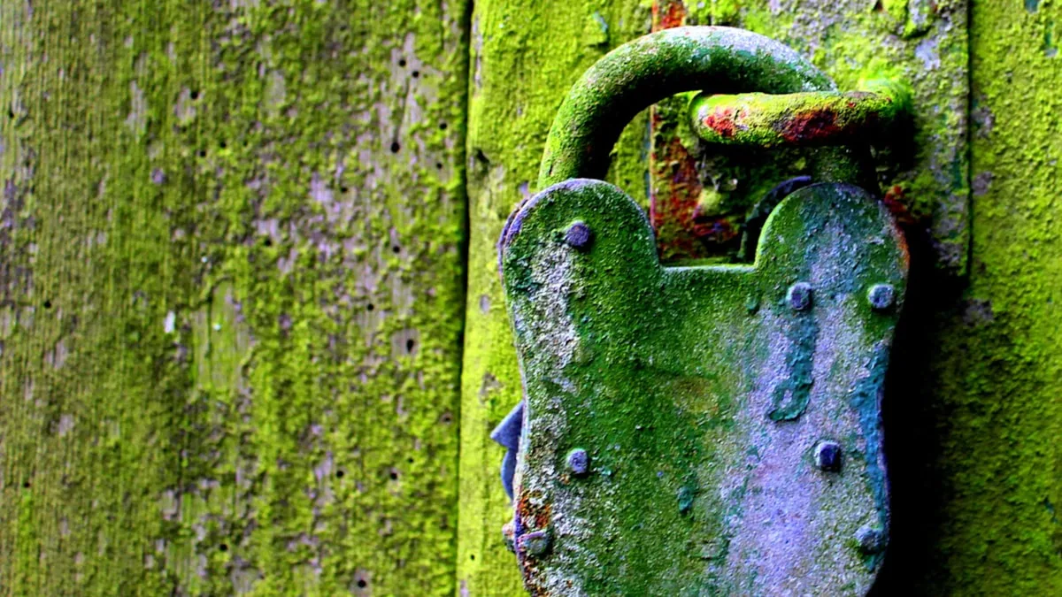 Do You Really Need HTTPS? Why Encrypted Connections Matter